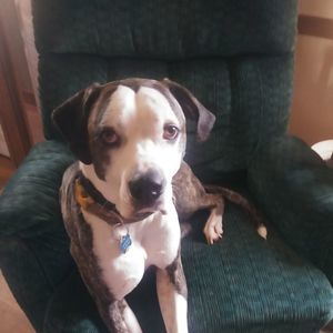 Meet your Posher, Phillip